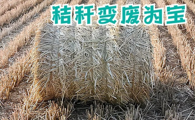 江蘇省昆山市開辟水稻秸稈綜合利用新途徑