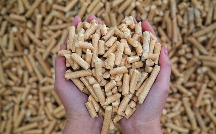 生物質(zhì)秸稈顆粒燃料