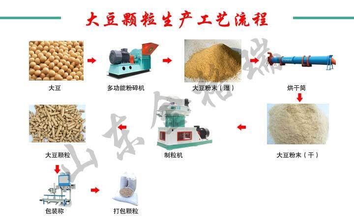 大豆颗粒生产工艺流程