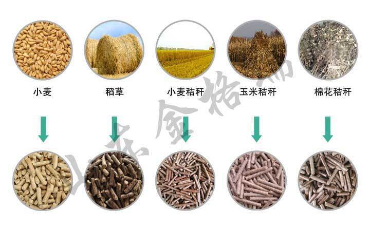 小麦秸秆颗粒机/麦子杆颗粒机的颗粒样品图
